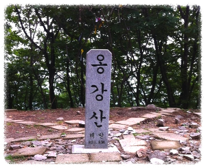 옹강산