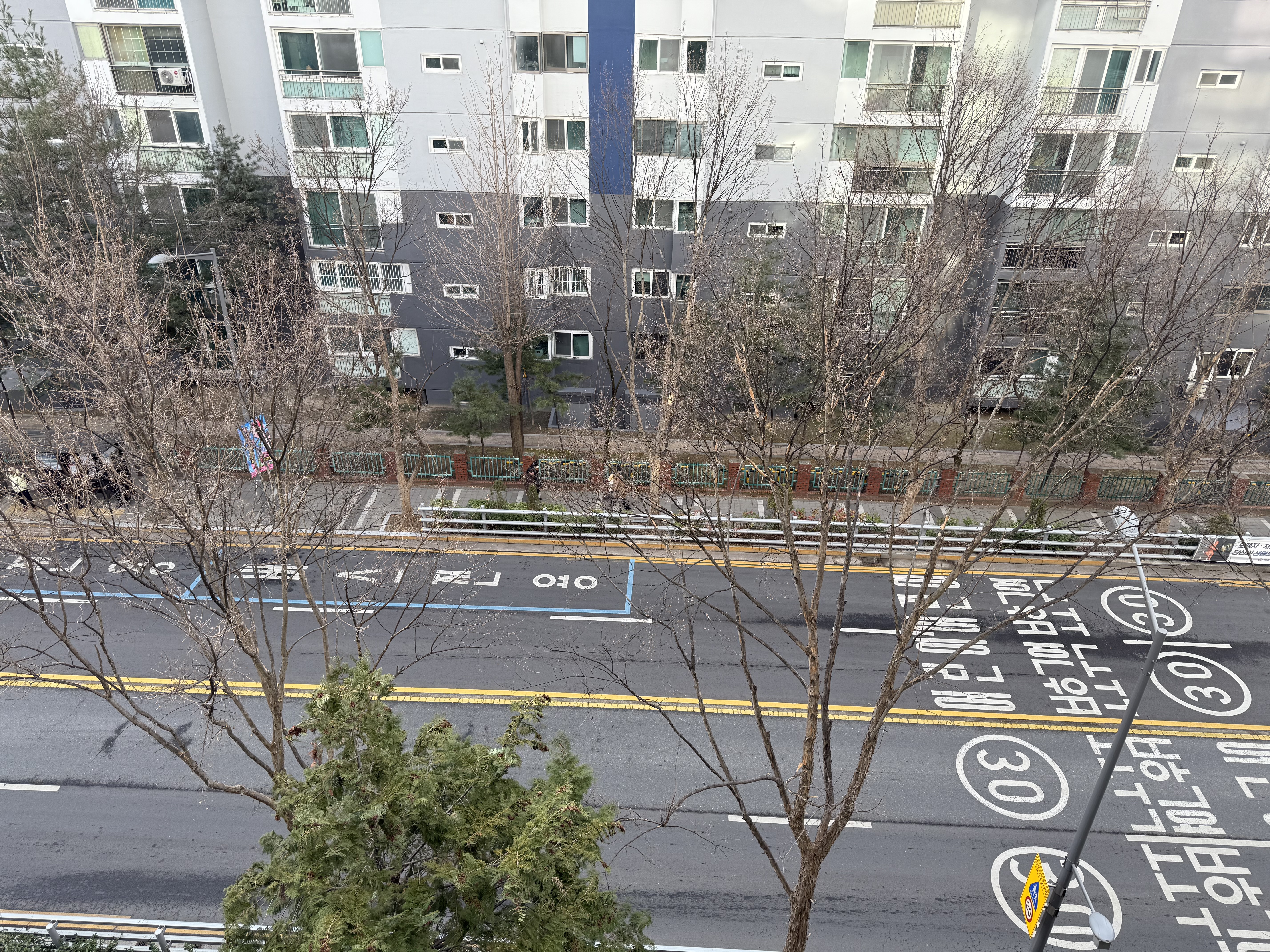 대전 둔산동 주말 아침 풍경