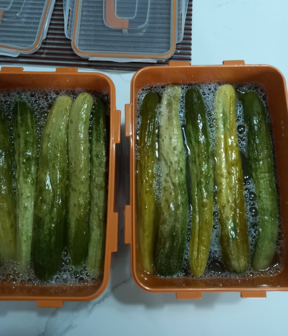 오이지를-물에-꼭-잠기도록-해야-합니다.