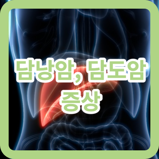 담낭암&#44; 담도암 증상