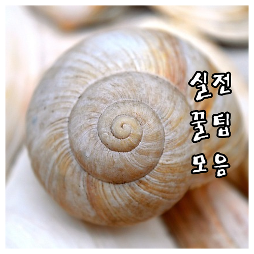 중구 대형폐기물 버리기? 인터넷으로 ..