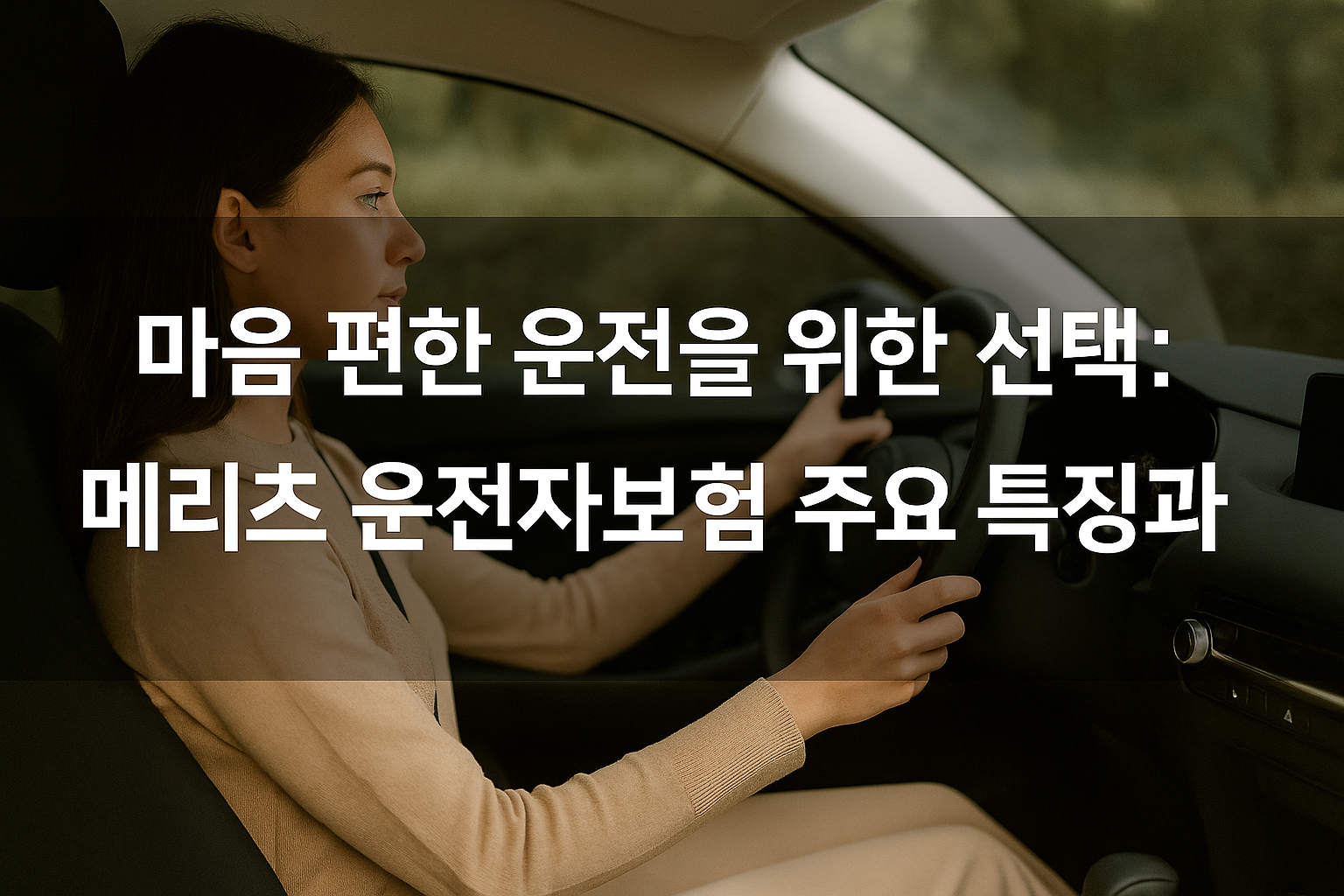 메리츠 운전자보험