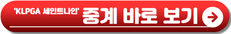 넥센 세인트나인 마스터즈