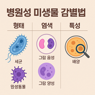병원성 미생물 감별법 관련 사진