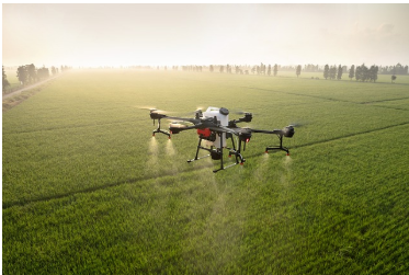 농업의 미래: 도시와 기술의 혁명적 융합