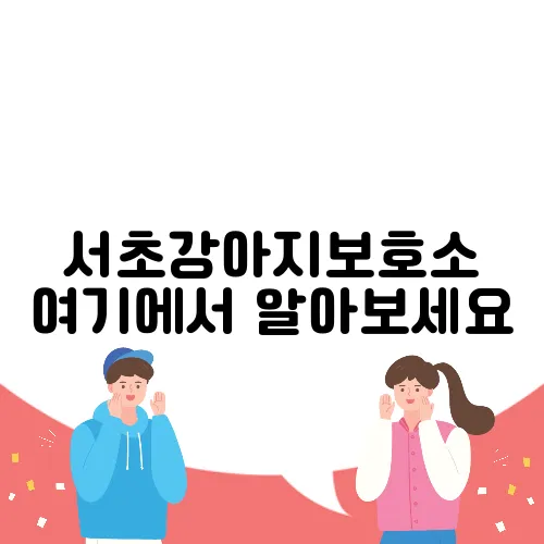 서초강아지보호소 여기에서 알아보세요