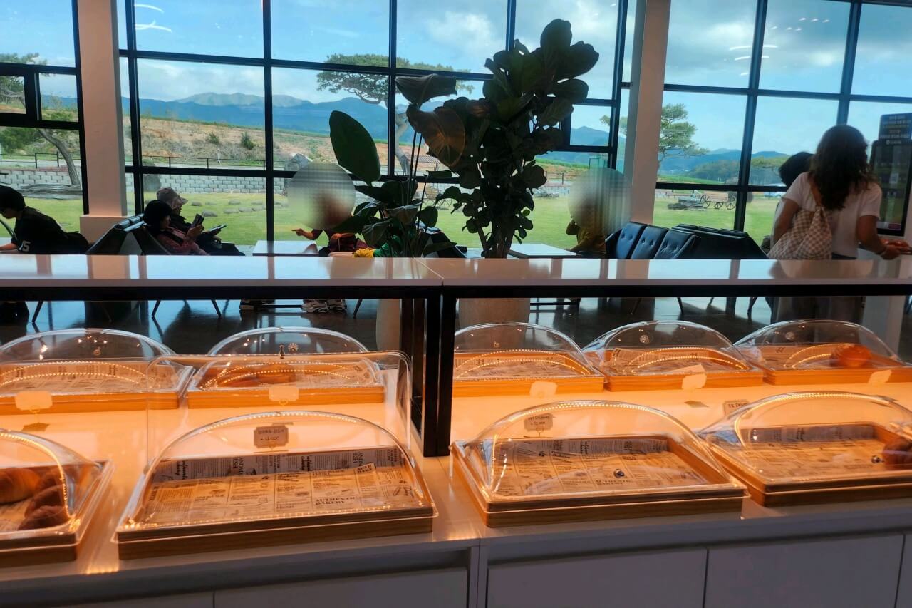 생생정보 미스터 Lee의 사진 한 컷 충남 서산 카페 힐링명소 서산목장카페 생생정보 2295회