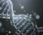 예방, 진단, 치료