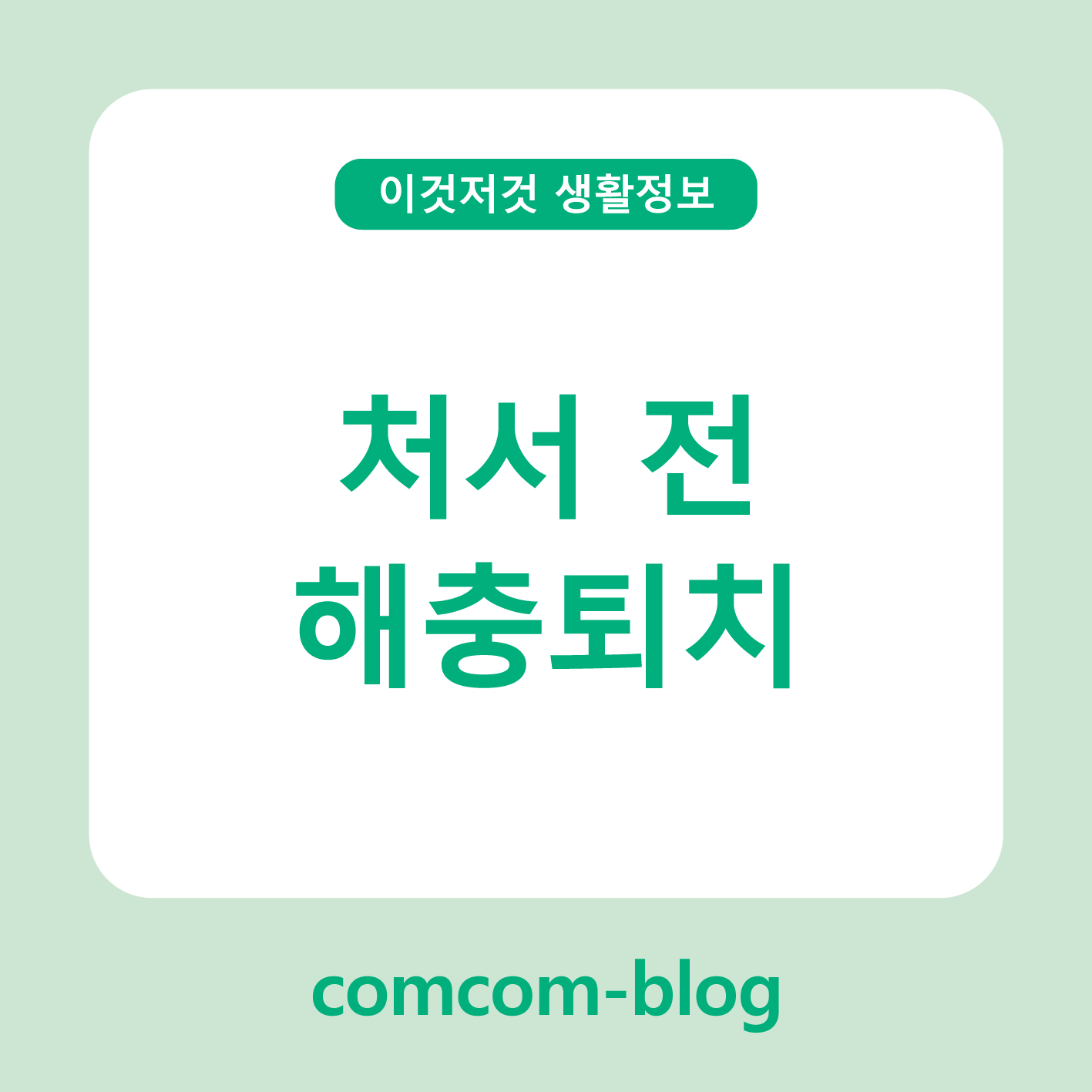 🐜 처서 전, 해충 퇴치로 가을 맞이 준비 완료!