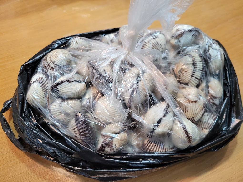 구리전통시장에서 구매한 신선한 꼬막