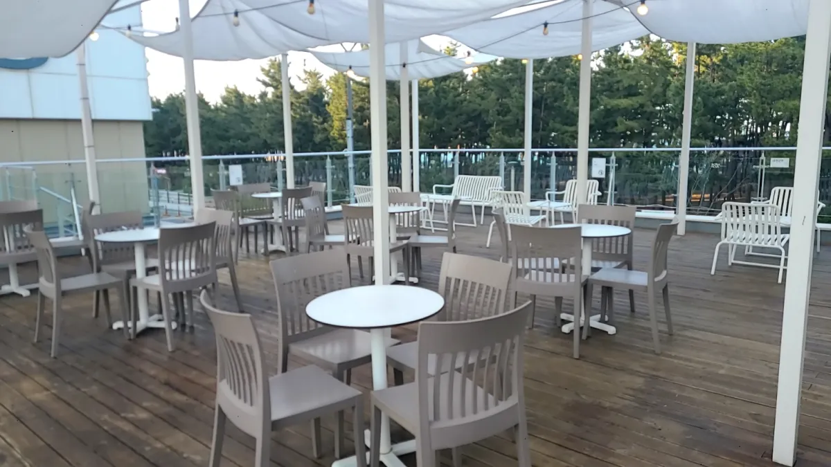 속초-보사노바카페-야외테라스테이블-뒤로는-소나무와-바다가보임