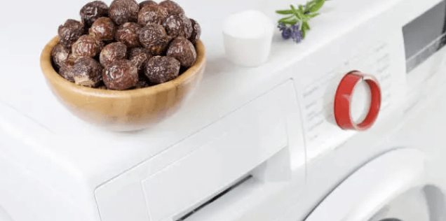 천연세제 소프넛 열매! 친환경 세제로 환경과 건강을 위한 세제 추천!