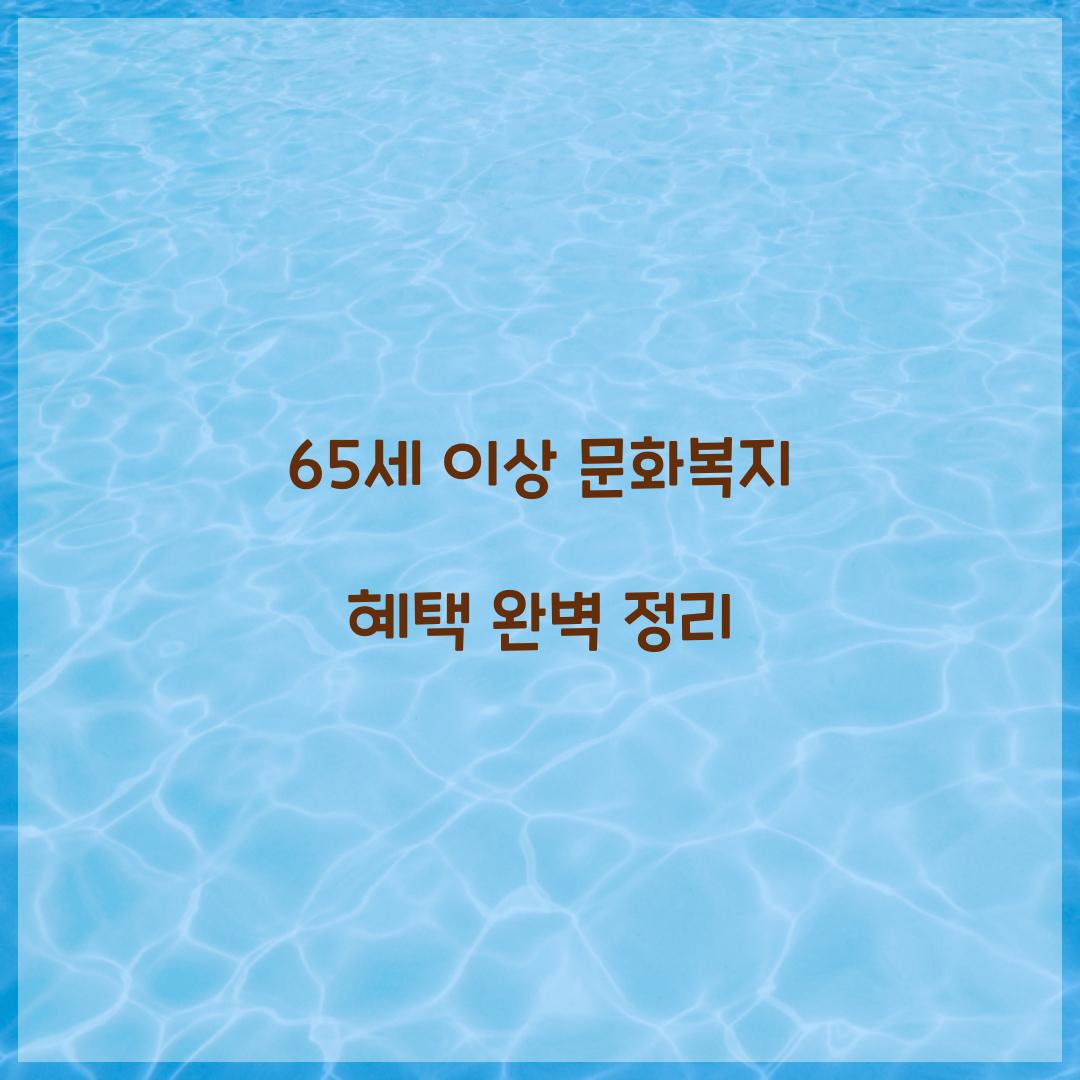 65세 이상 문화복지