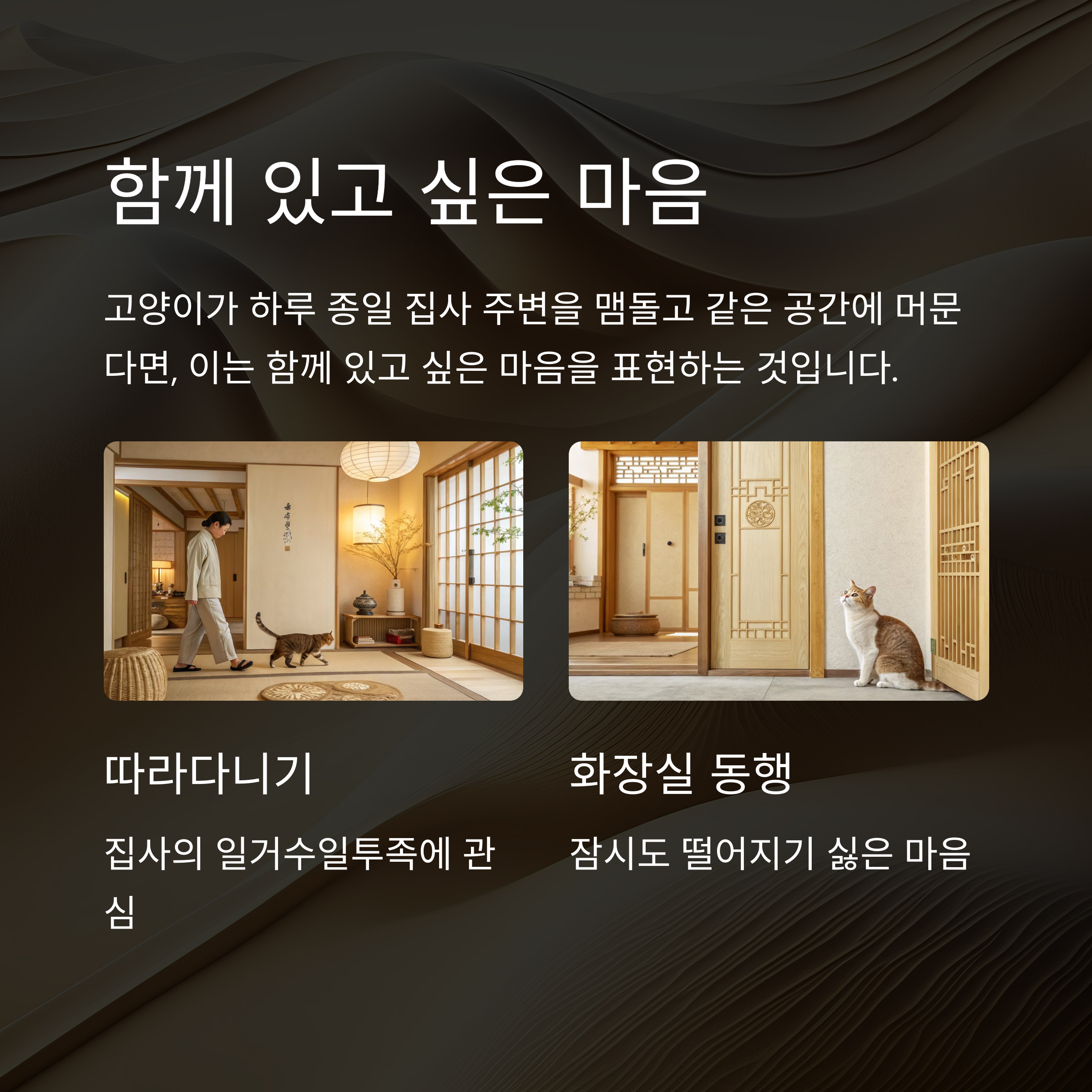 함께 있고 싶은 마음