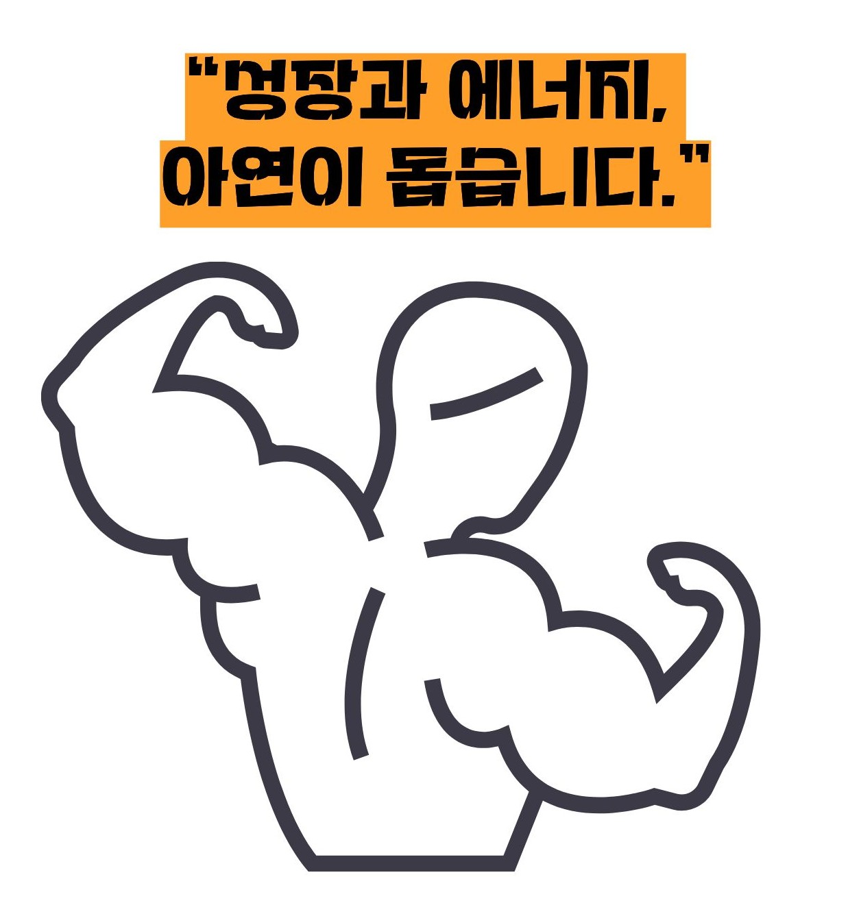 아연 효능