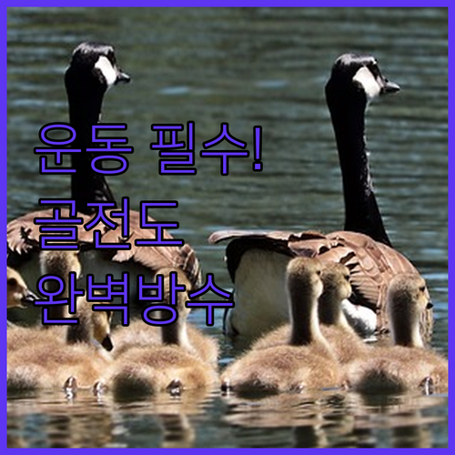 브리츠 BZ-M2BONE 골전도 이어..