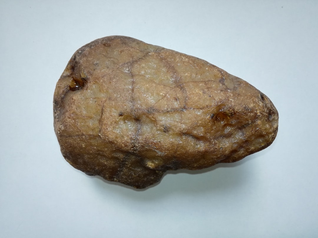 Liver