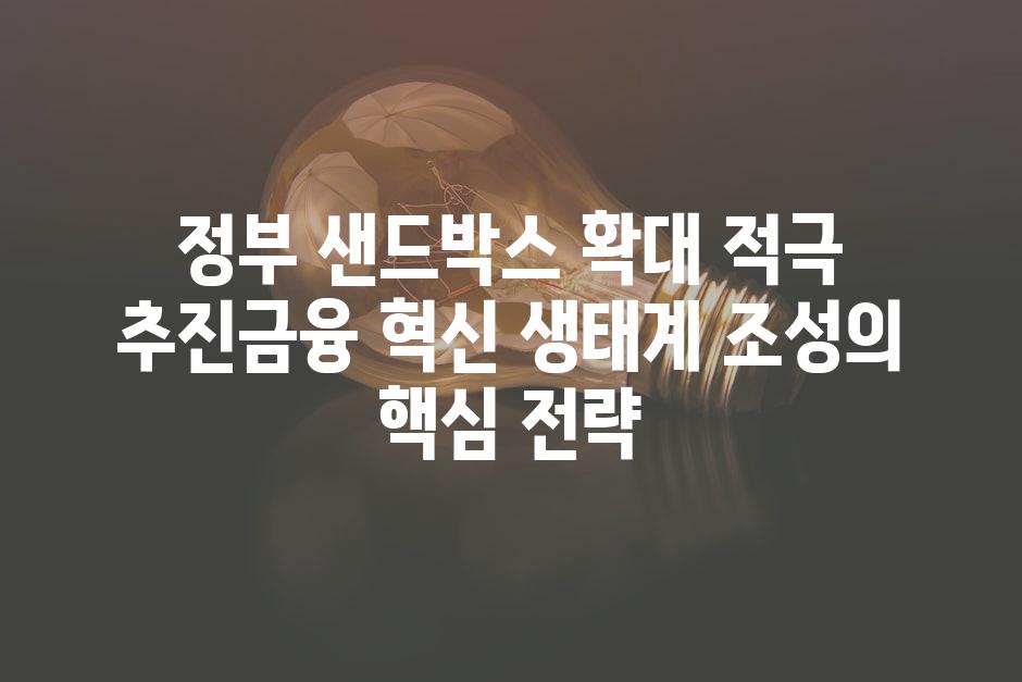 정부 샌드박스 확대 적극 추진금융 혁신 생태계 조성의 핵심 전략