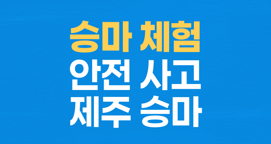 제주 승마 체험 사고, 안전 불감증 경고등 켜지다