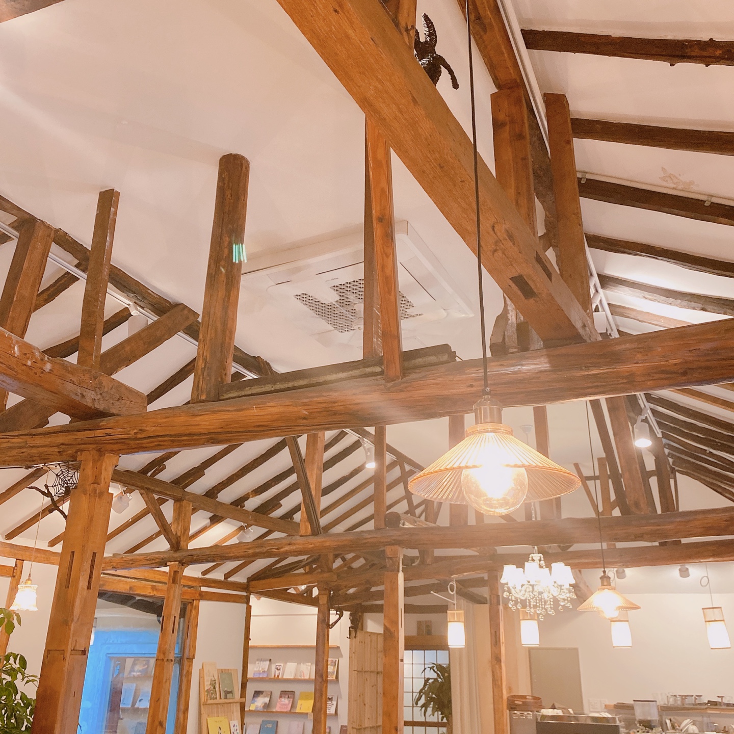 제주 동문시장 주택 구옥개조 북카페 무화과한입