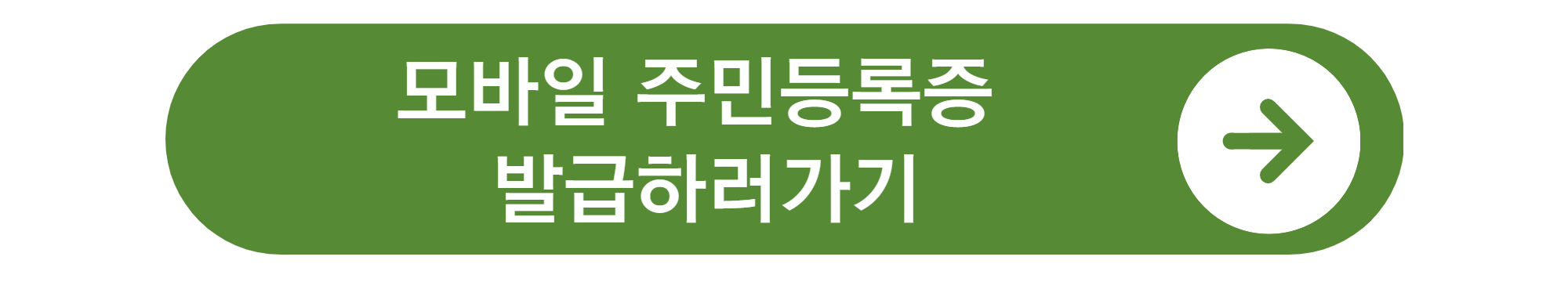 모바일 신분증