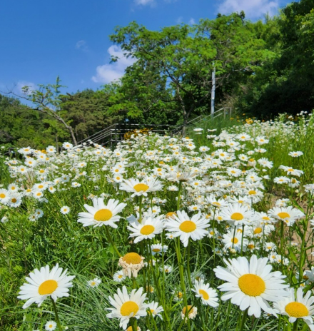 서울숲-샤스테이지