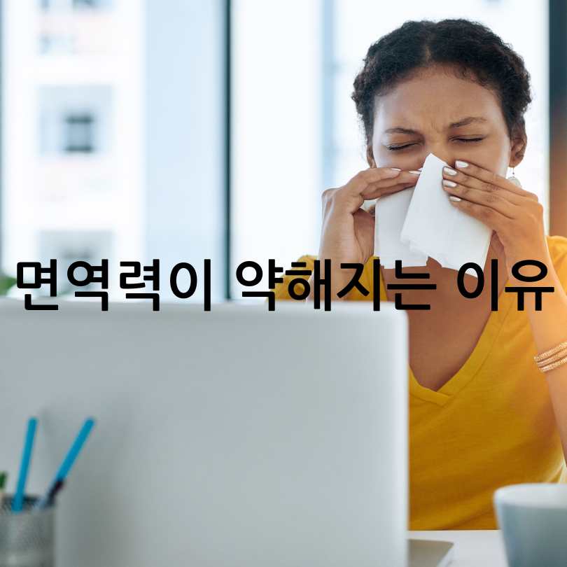 면역력높이는영양제
