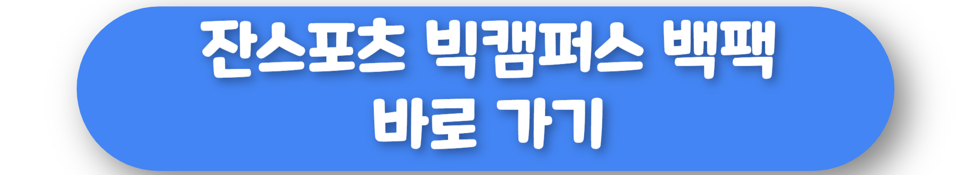 잔스포츠 빅캠퍼스 백팩