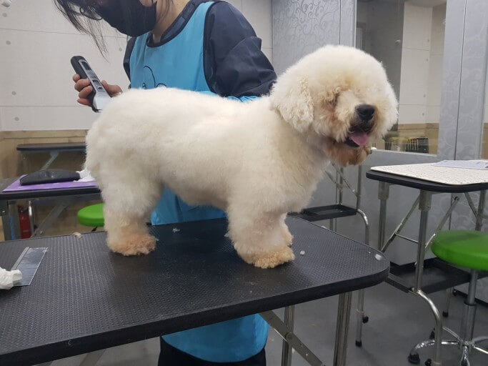 배우고 연구하고