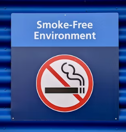 갑상선 기능 항진증 증상 원인 예방 가이드