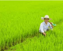 농업경영체등록