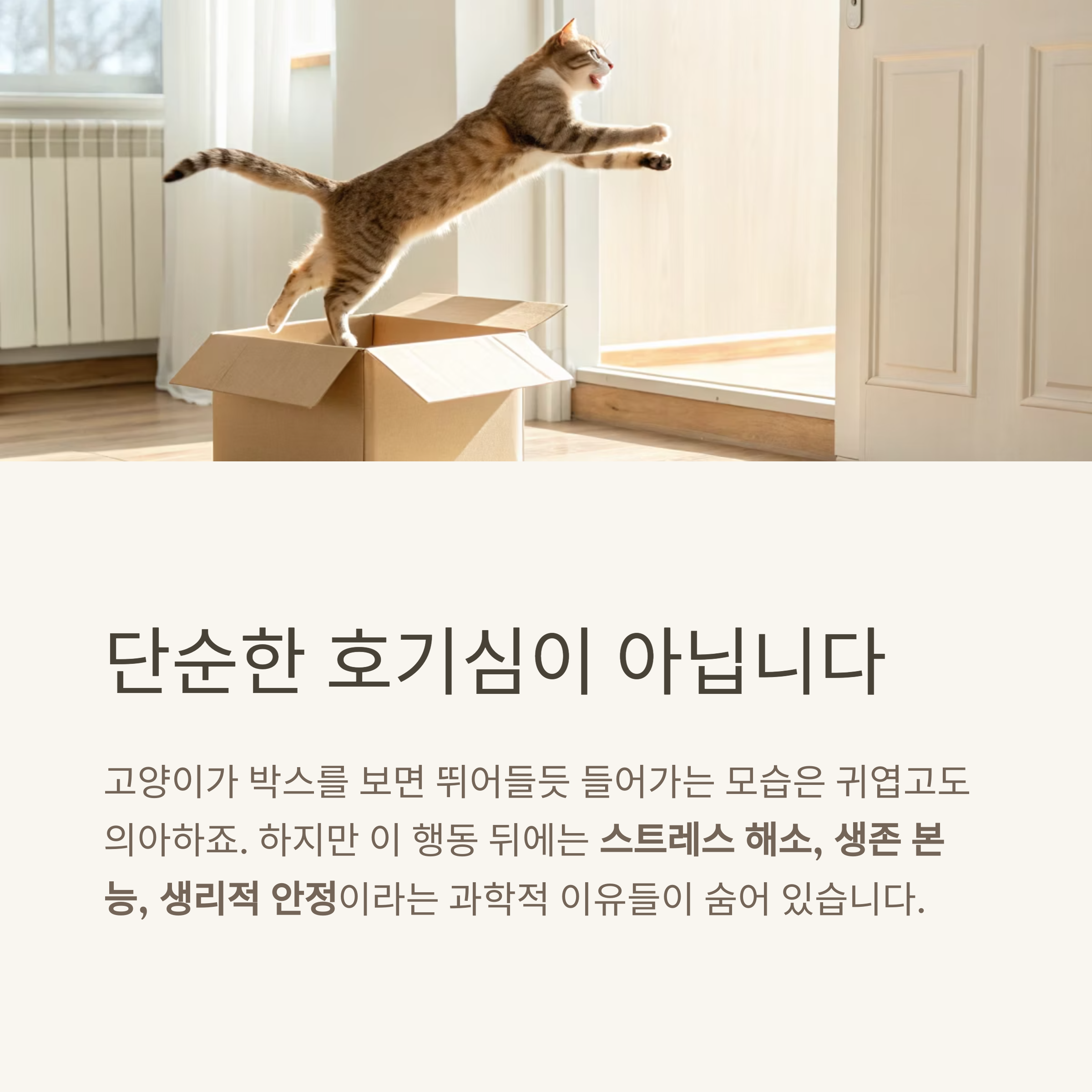 단순한 호기심이 아닙니다