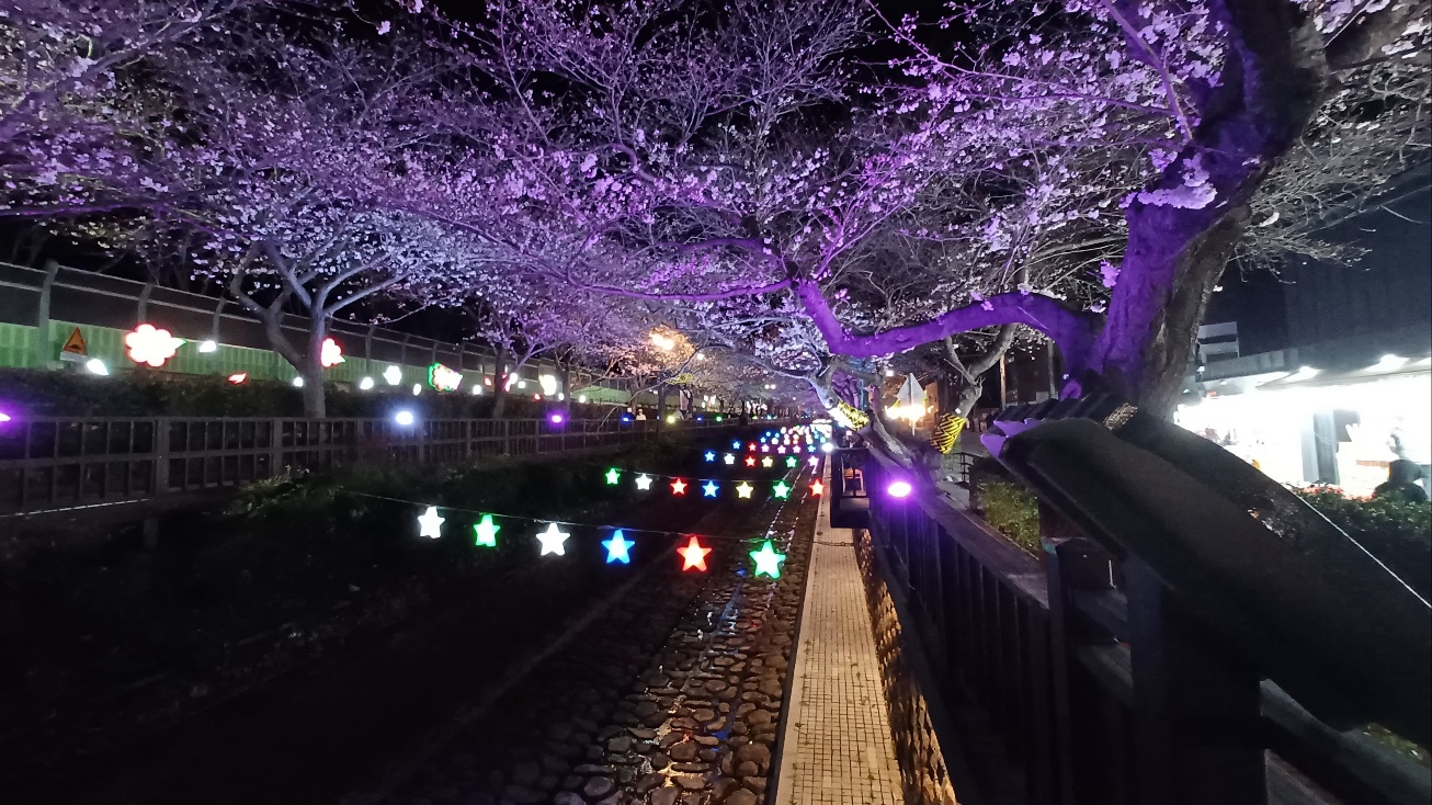 여좌천 벚꽃3