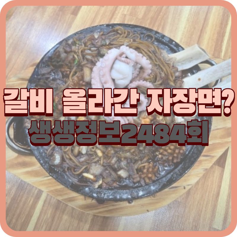 생생정보 2484회 이색 중식 한상 대구 준 왕갈비해물자장