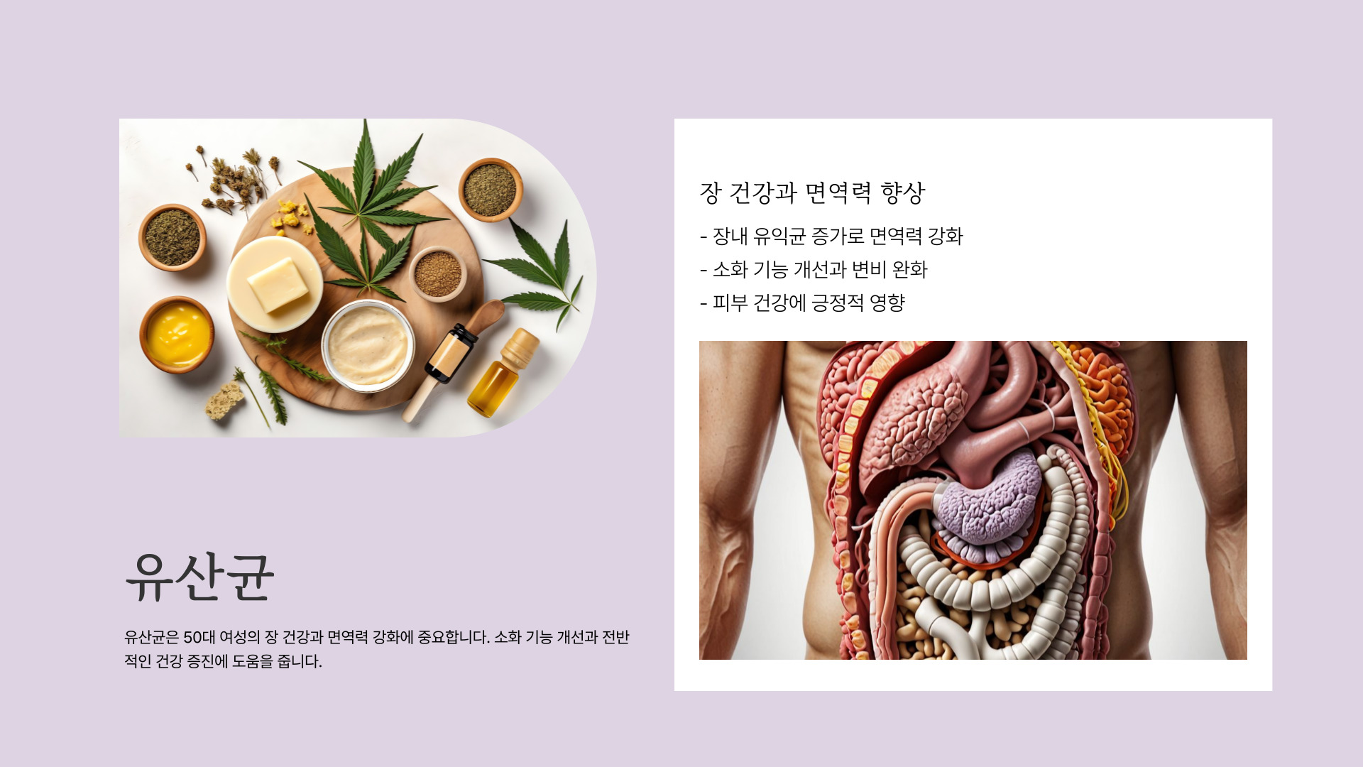 50대 여성 필수 영양제
