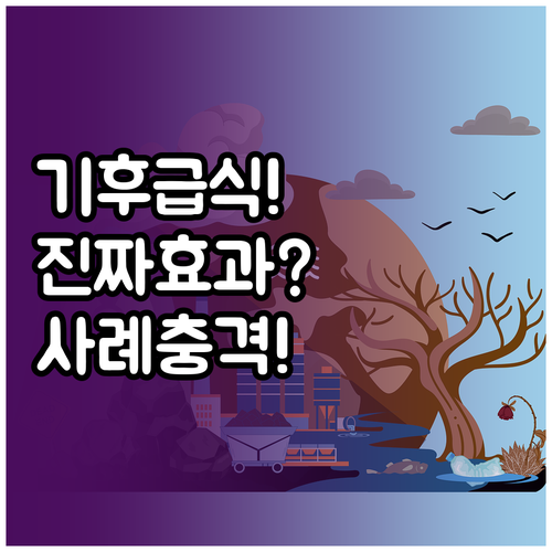 학교 기후급식 도입 실제 효과와 사례..