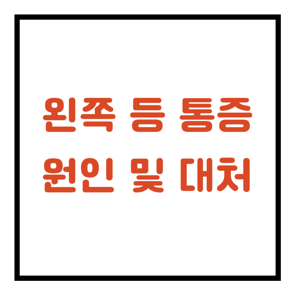 왼쪽 등쪽 통증