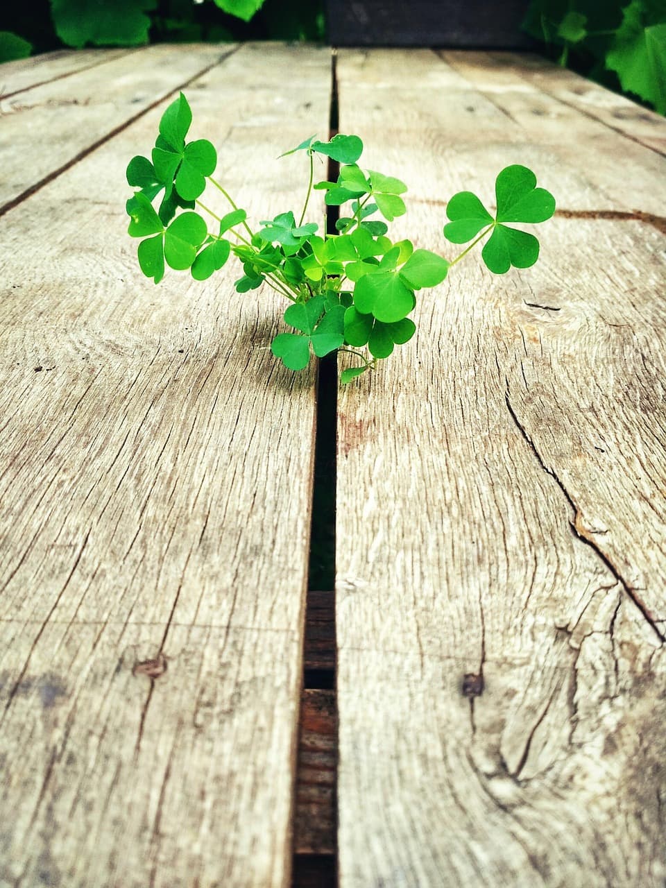 감정일기를 지속시키는 ‘감정트래커’ 활용 팁
