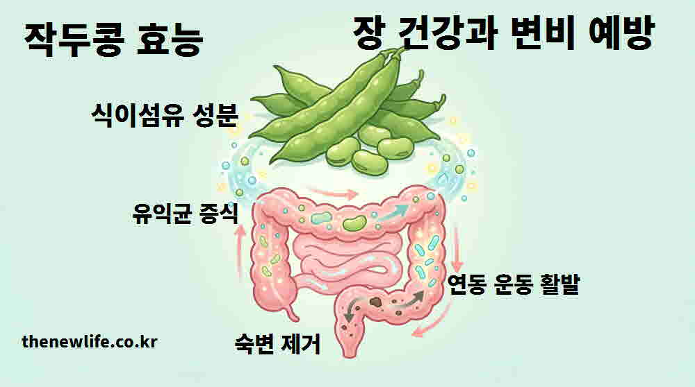 작두콩 효능 장 건강 변비 예방