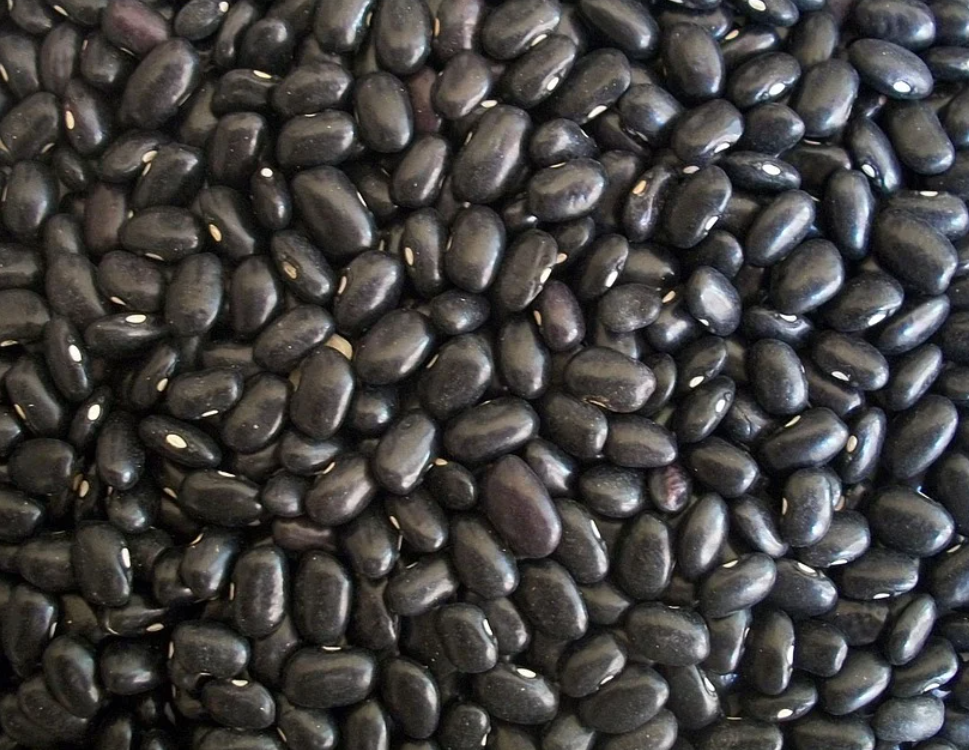 모발 성장에 도움이 되는 성분인 시슽테인과 아미노산이 들어있는 검은콩