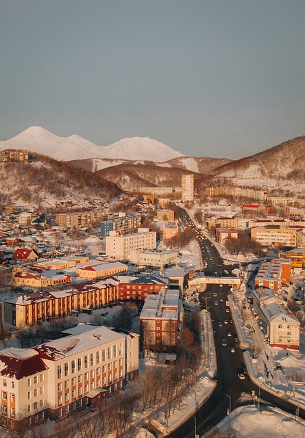 똥이 발에 묻는 꿈 해몽(똥꿈해몽풀이&amp;#44; 무료꿈해몽풀이)