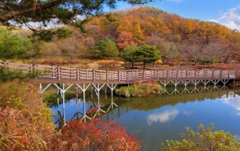 진천여행 가볼만한곳 BEST 10