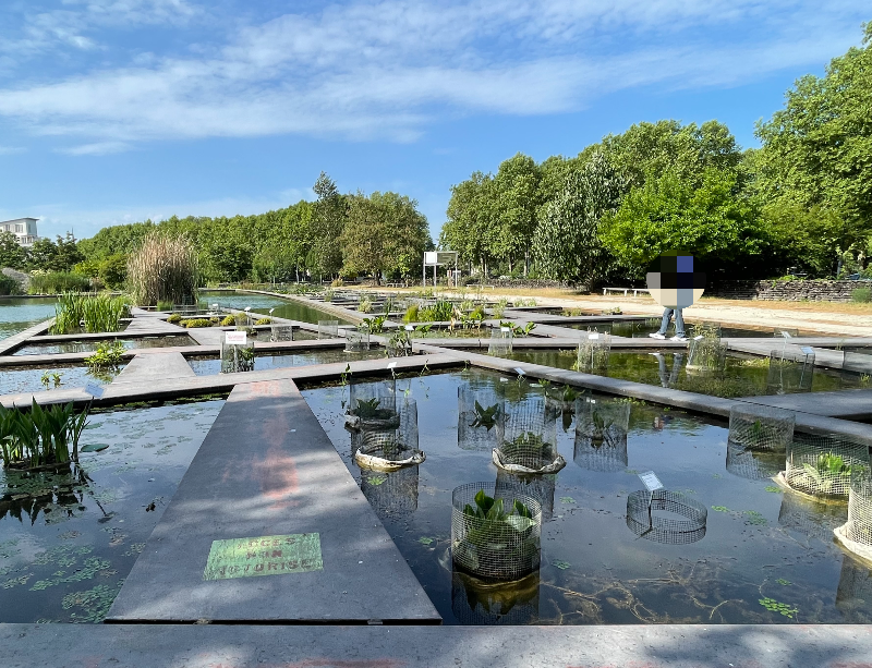 보르도 식물원 - 수생정원3