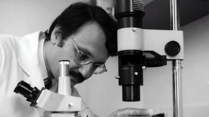 The impact of globalization on the spread of disease 4