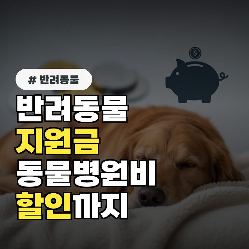 반려동물 지원금, 동물병원비 할인까지 숨겨진 혜택 3가지