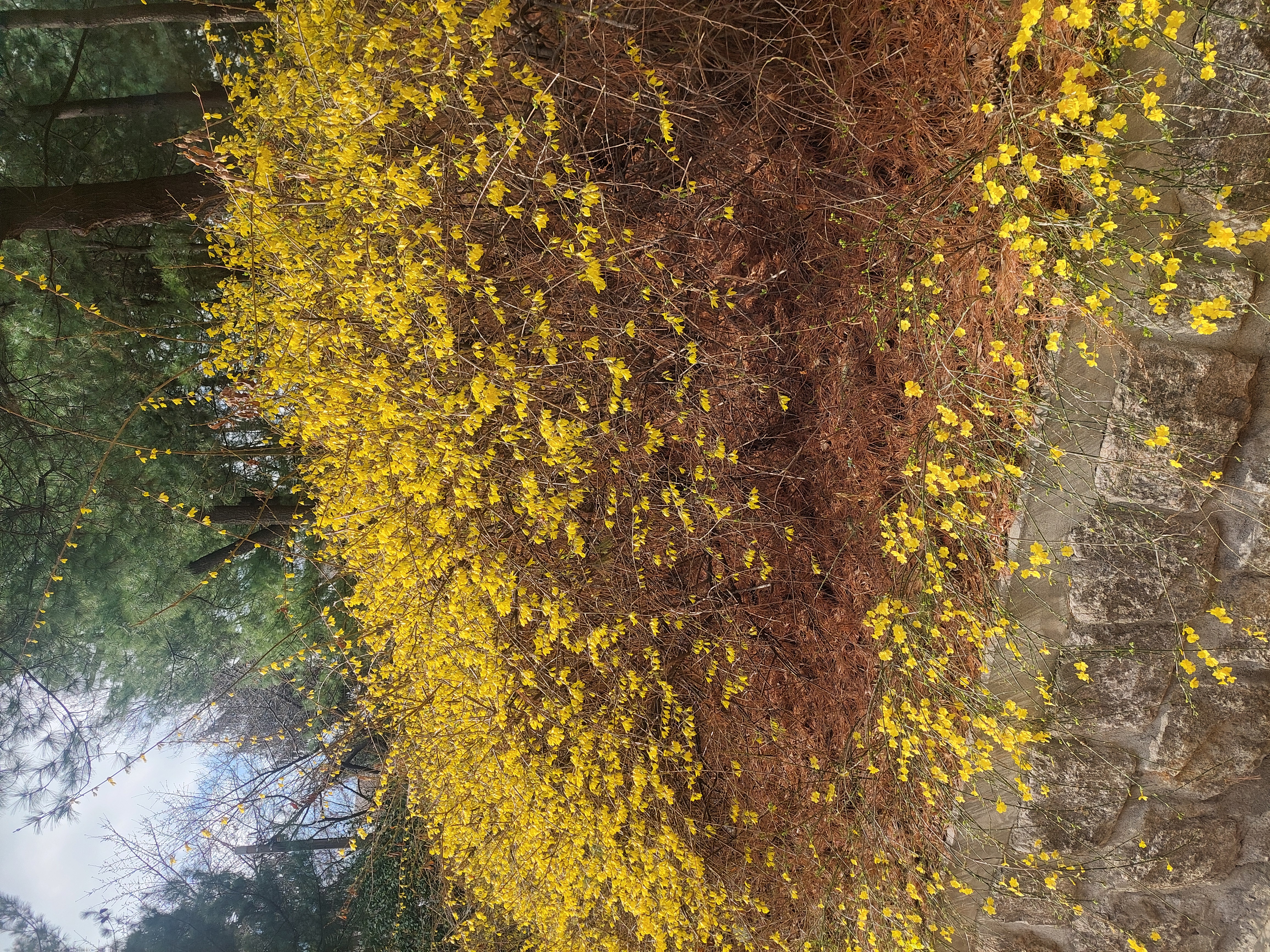 안산