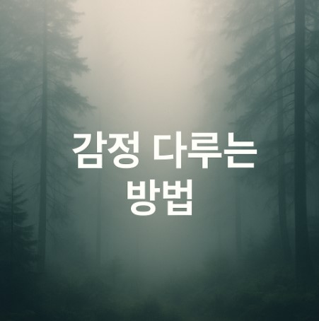 감정과 마주하기(마인드카드, 감정정리, 회복루틴)