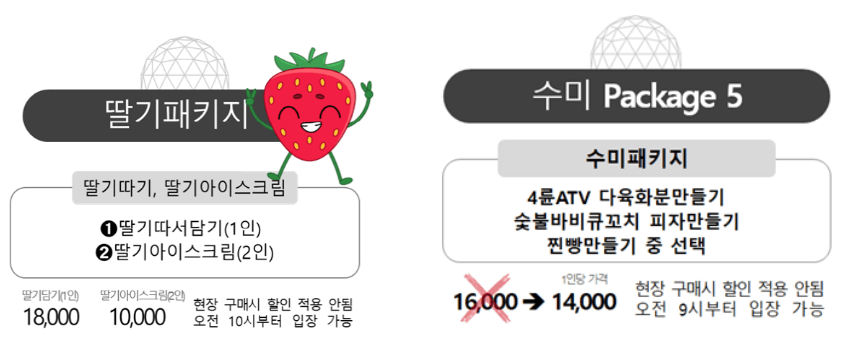 양평딸기송어축제 정보