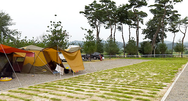 연천 알멕스랜드캠핑장. 경기도 연천군 왕징면 왕산로 218번길 25-100