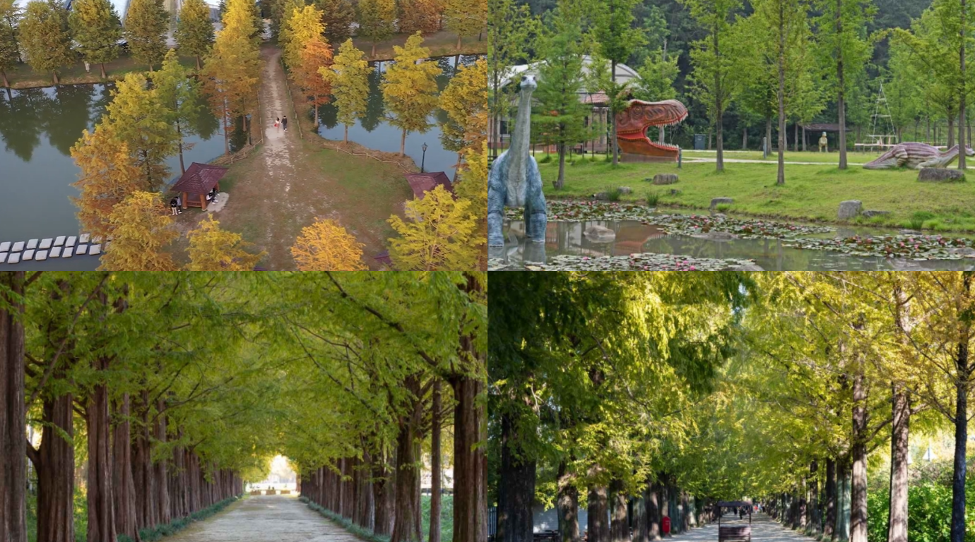 담양 메타세콰이어 가로수길